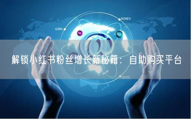 解锁小红书粉丝增长新秘籍：自助购买平台