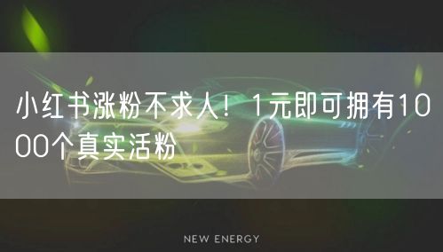 小红书涨粉不求人！1元即可拥有1000个真实活粉