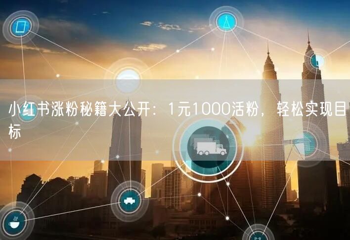 小红书涨粉秘籍大公开：1元1000活粉，轻松实现目标