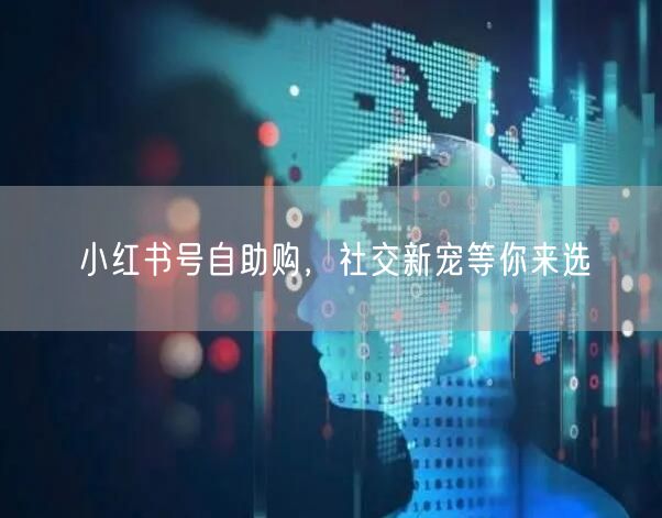 小红书号自助购，社交新宠等你来选