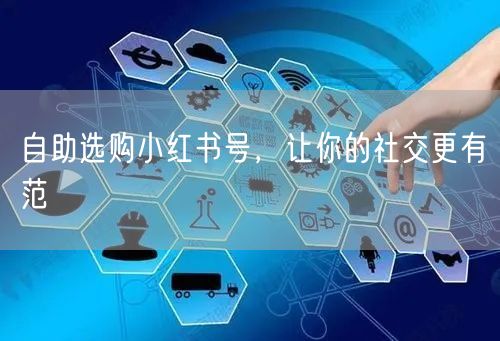 自助选购小红书号，让你的社交更有范