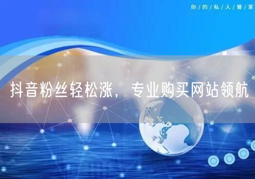 抖音粉丝轻松涨，专业购买网站领航
