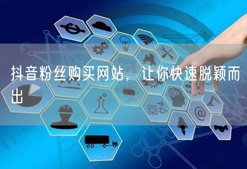 抖音粉丝购买网站，让你快速脱颖而出