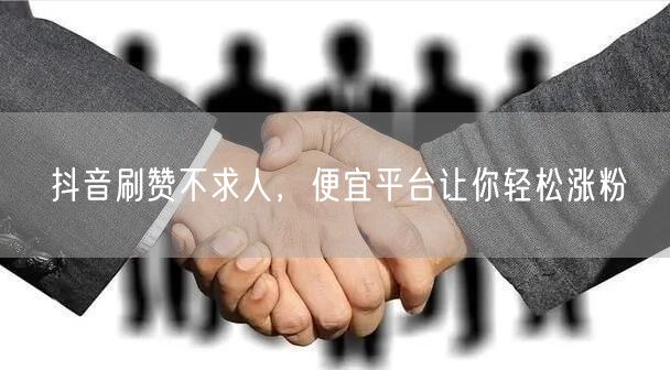 抖音刷赞不求人，便宜平台让你轻松涨粉